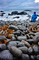 Esten Sødal Skullerud. Rullesteinstrand på yttersiden av Lofoten. IMG_2370(2).JPG